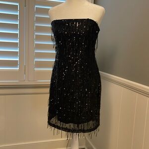 Sequined Fringe Mini Tube Dress